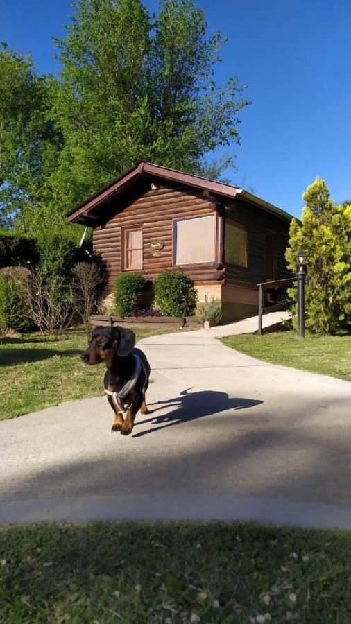 Cabanas Cultura Serrana Santa Rosa de Calamuchita Dış mekan fotoğraf